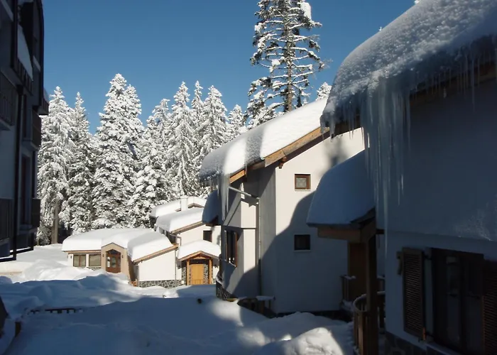 Saint George Village 2* Borowec